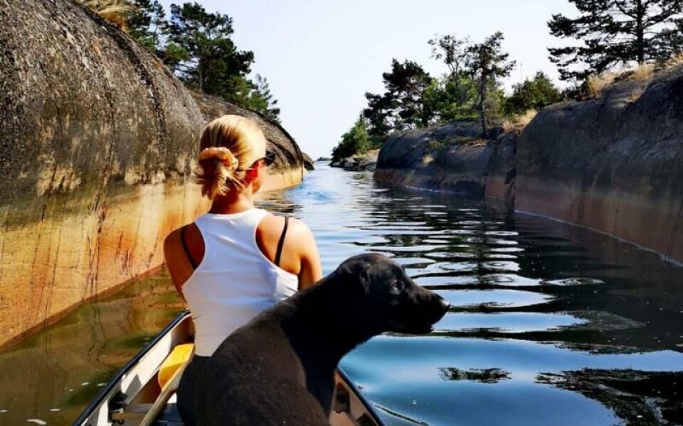 Foto: Jerry Wilhelmsson