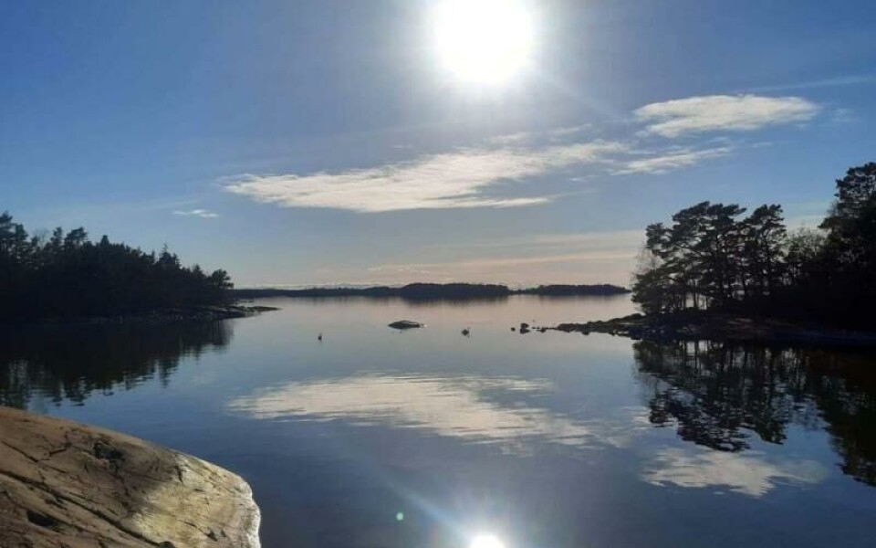 Foto: Louise Sjöberg