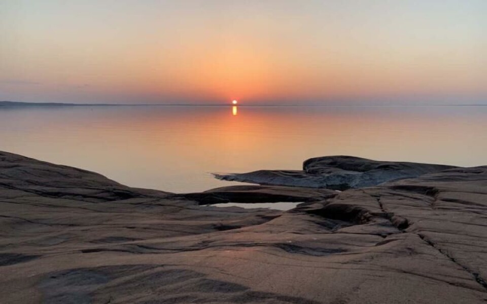 Foto: Camilla Vainio