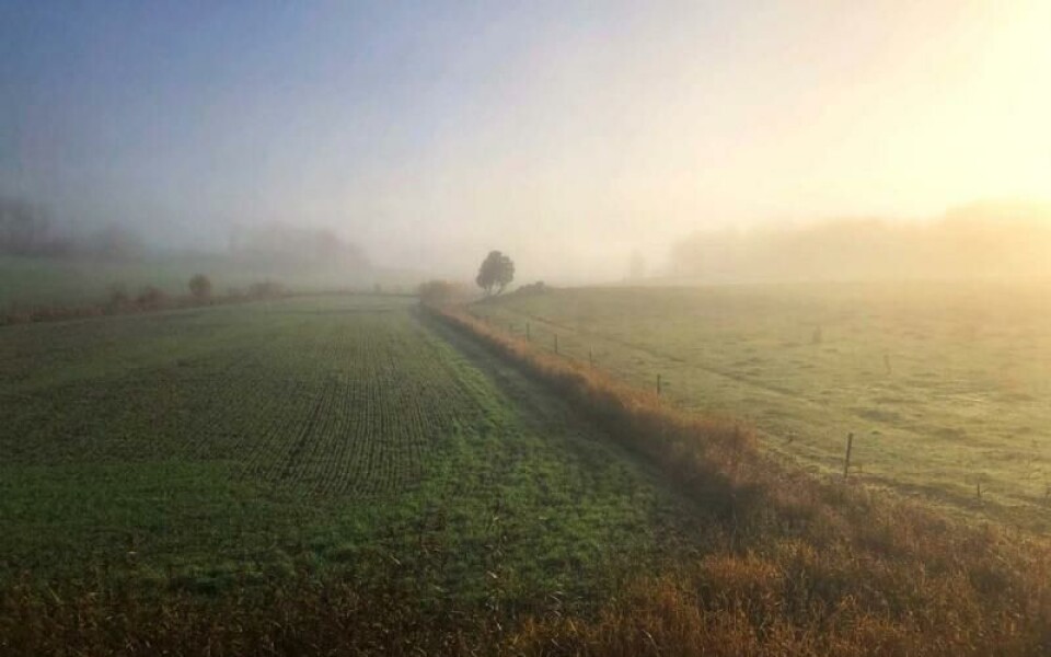 Foto: Carina Åhlund