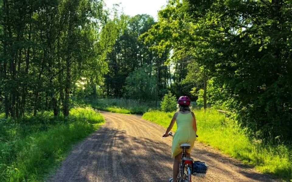 Foto: Carina Åhlund