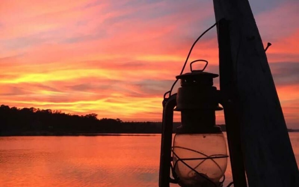 Foto: Siv Grönvall-Diederichs