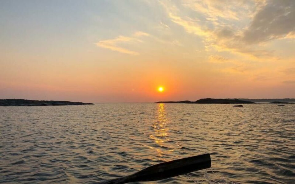 Foto: Marie Palin-Karlman