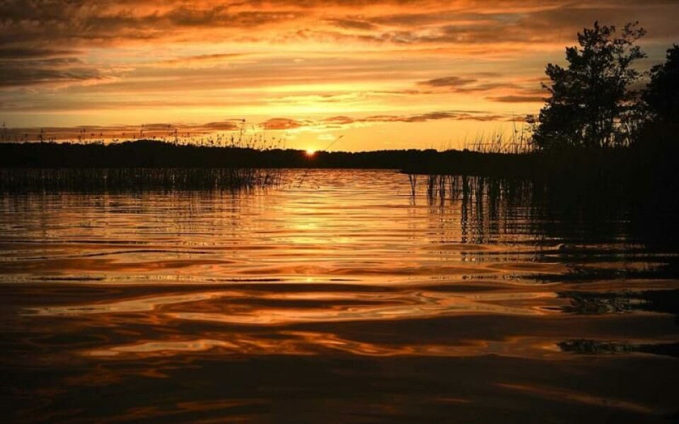 Foto: Mats-Erik Jansson