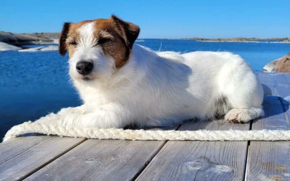 Foto: Robert Karlman