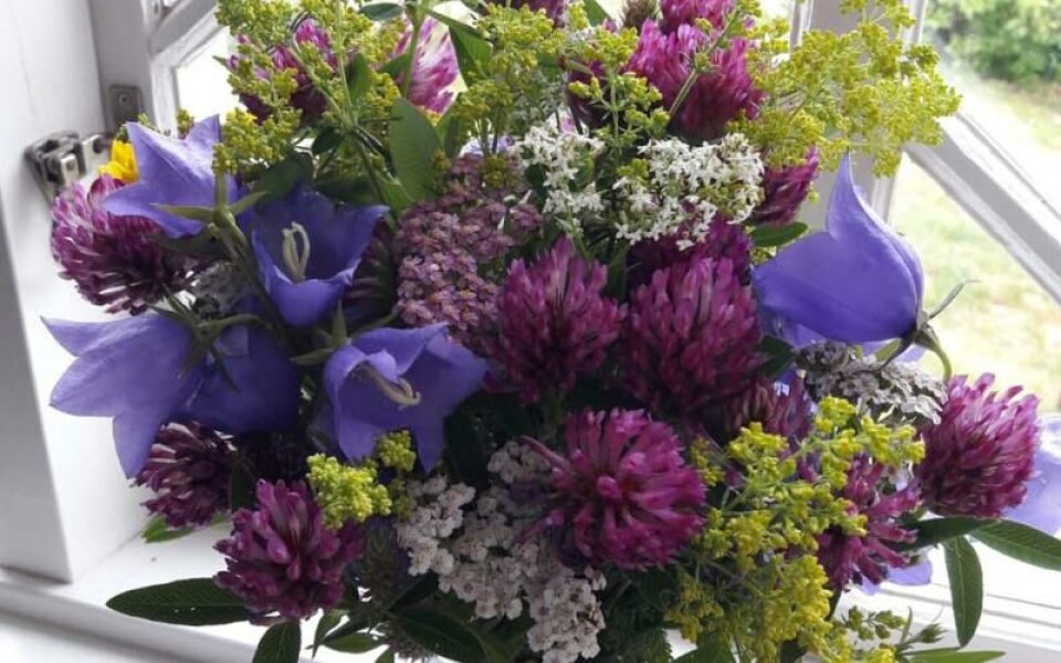 Foto: Annika Hollsten