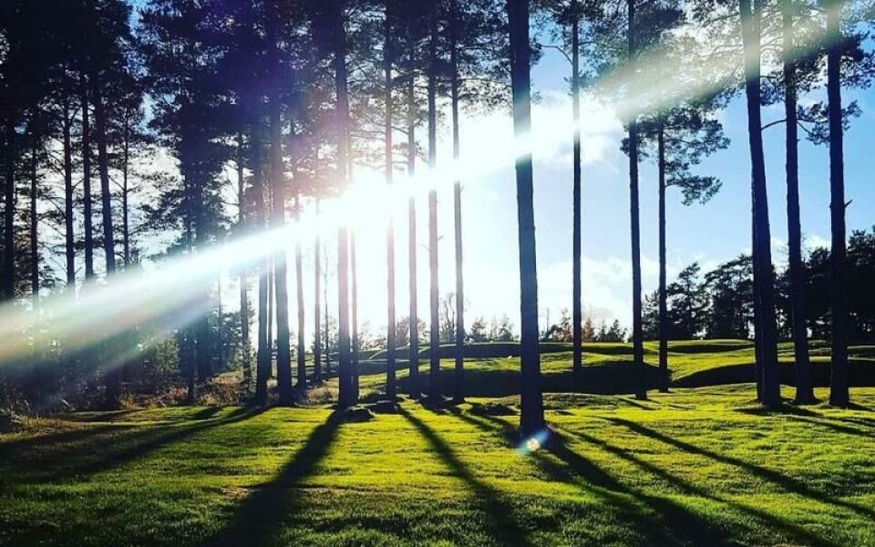 Foto: Anne Sundström