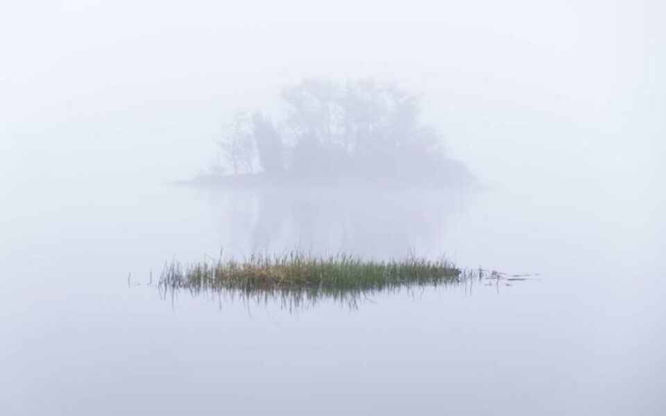 Foto: Sara Blomqvist