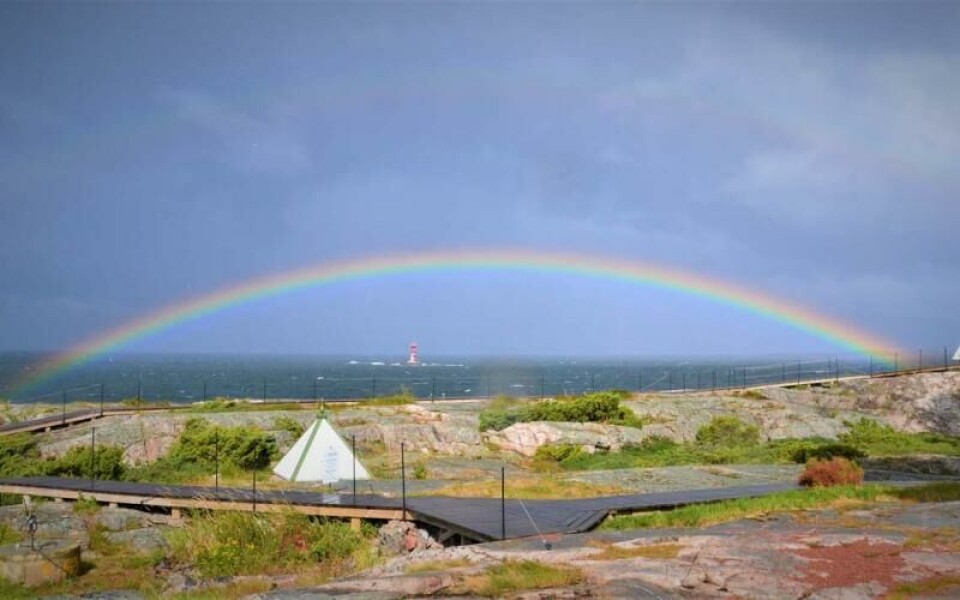 Foto: Kicki Alberius Forman