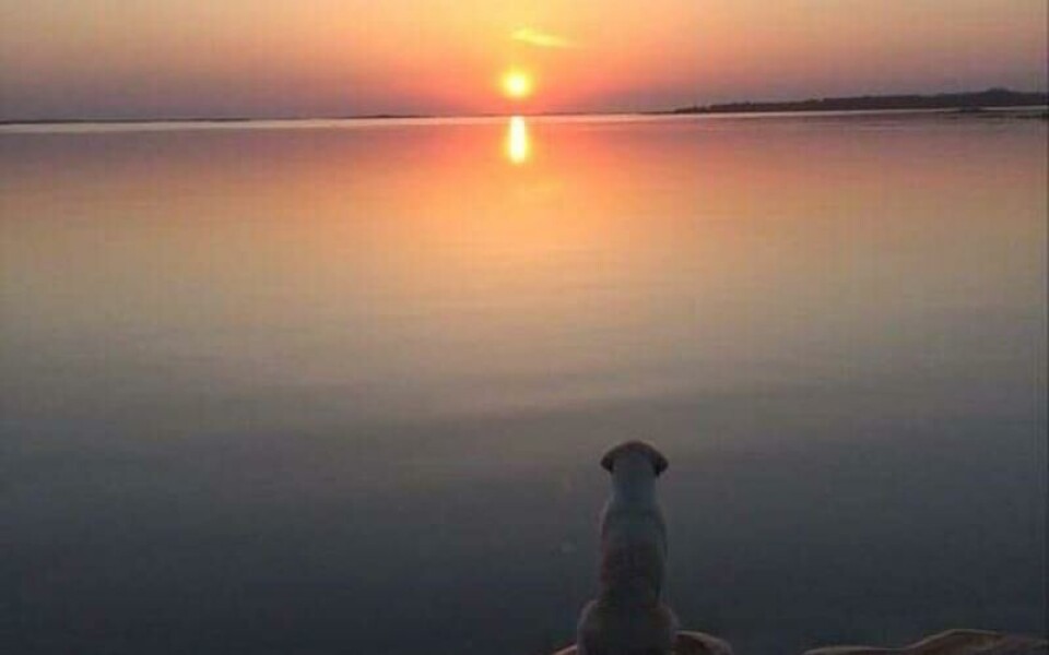 Foto: Marina Nordblom