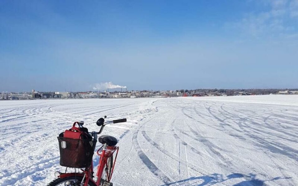 Foto: Kicki Alberius-Forsman