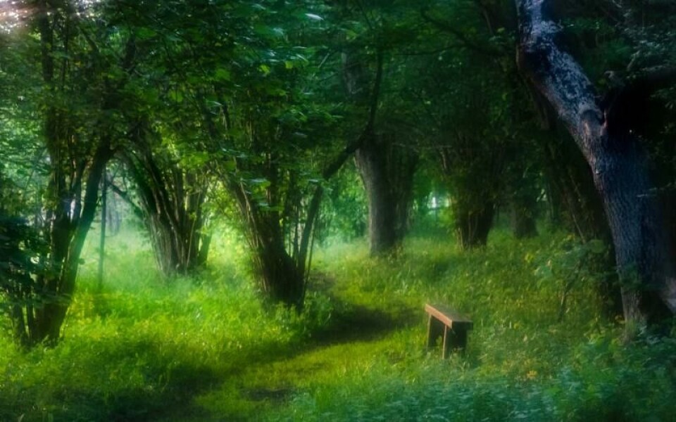 Foto: Sanna Hillberg