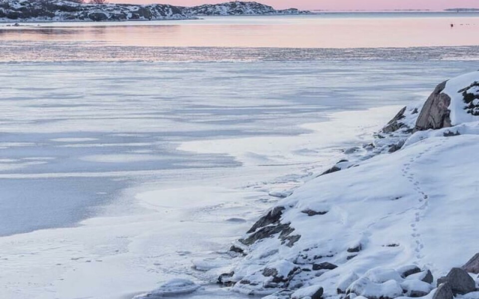 Foto: Sanna Hillberg