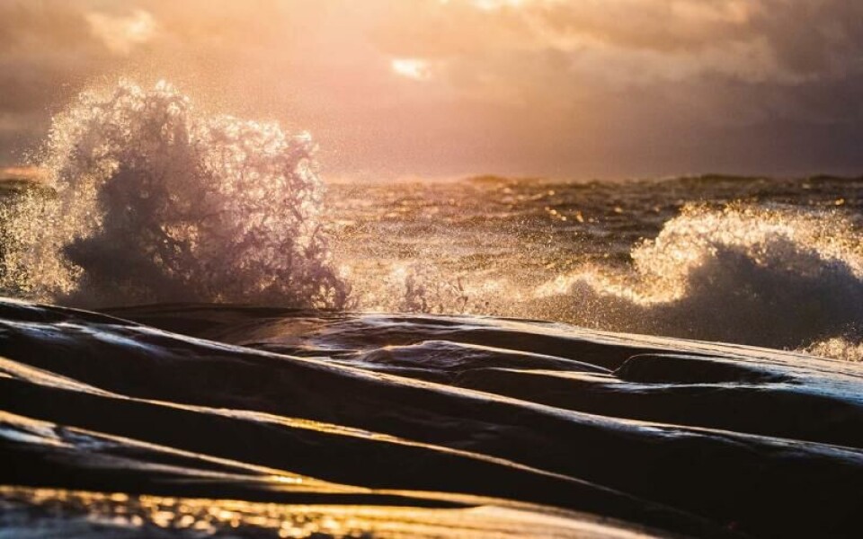 Foto: Sanna Hillberg