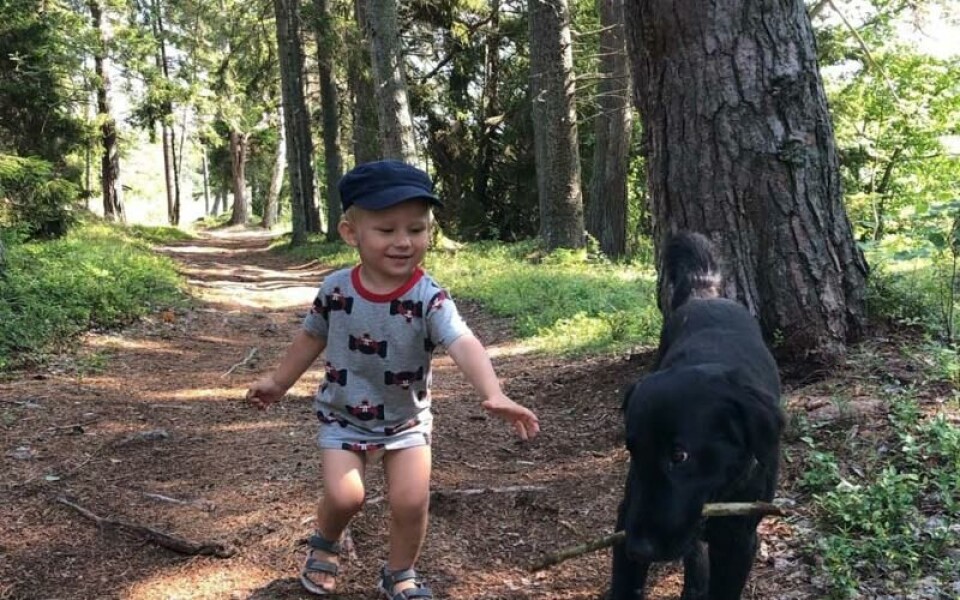 Foto: Linda Wilhelmsson