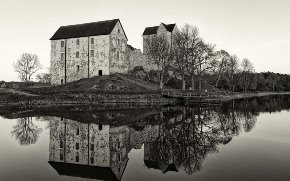 Foto: Tomas Strömberg