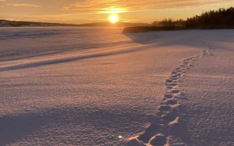 Foto: Jenny Polviander