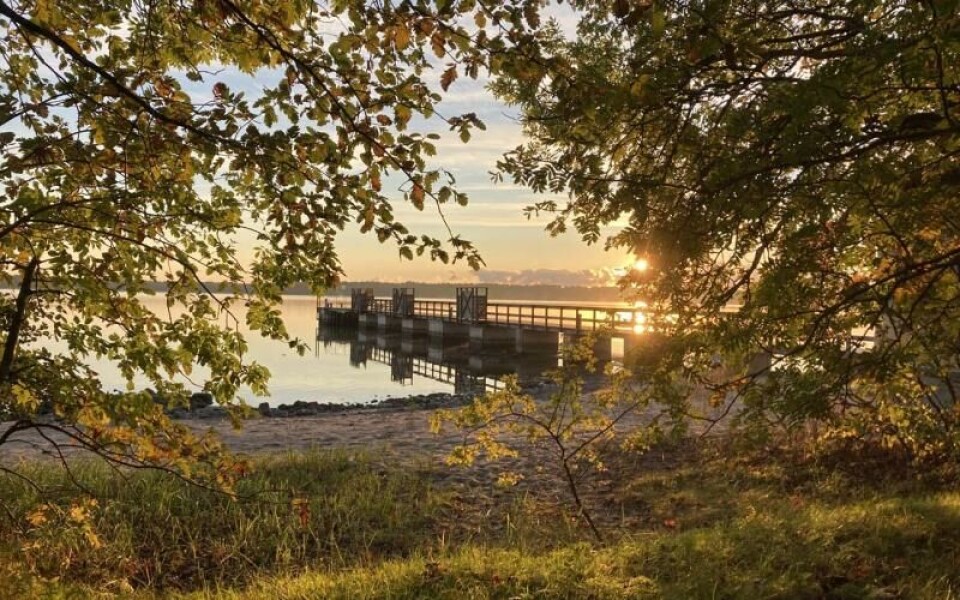 Foto: Jenny Polviander