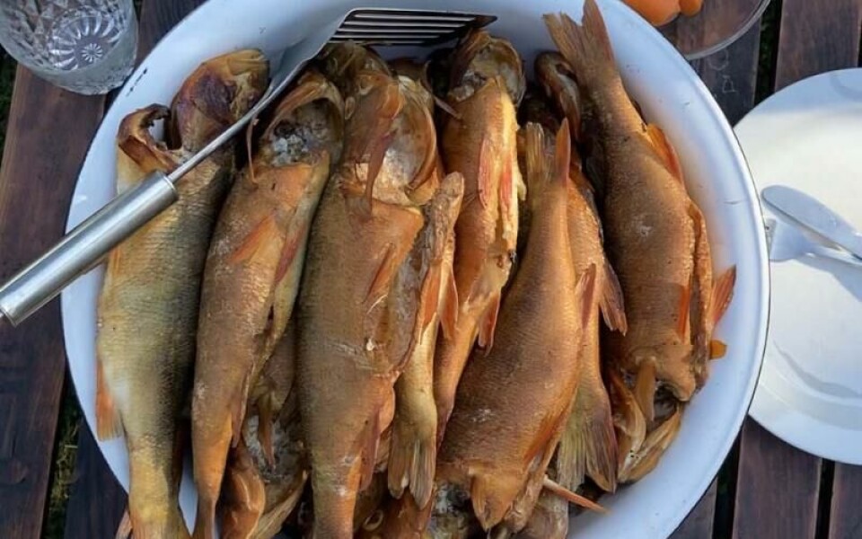 Foto: Jenny Polviander