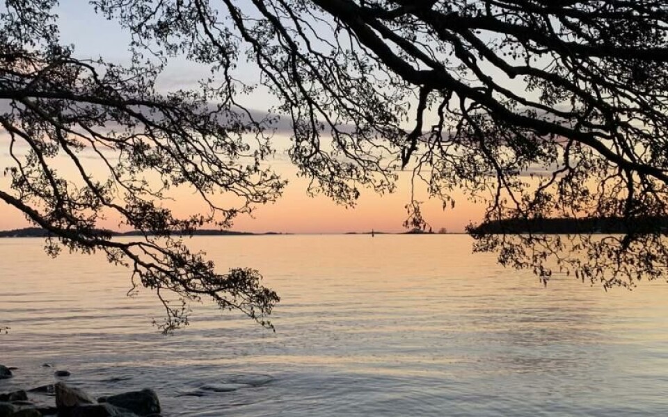 Foto: Sanna Könönen-Wahlstedt