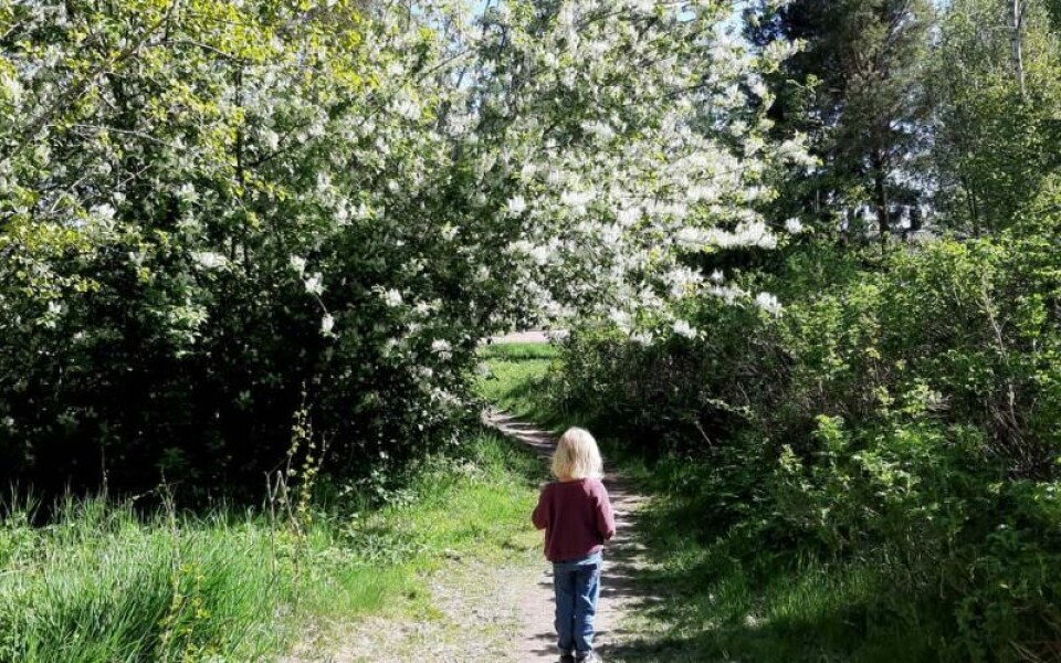 Foto: Majvor Söderberg