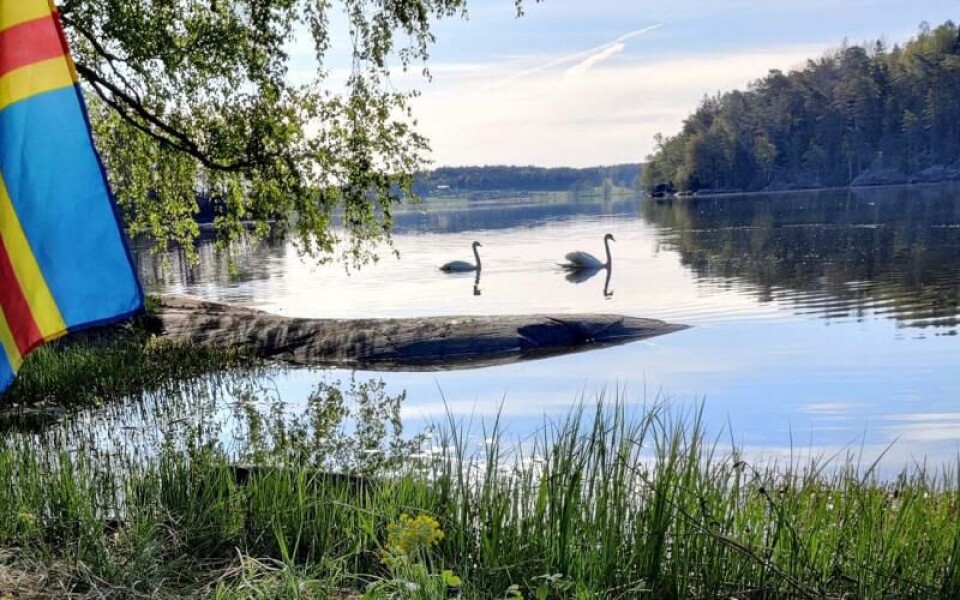 Foto: Yvonne Söderlund