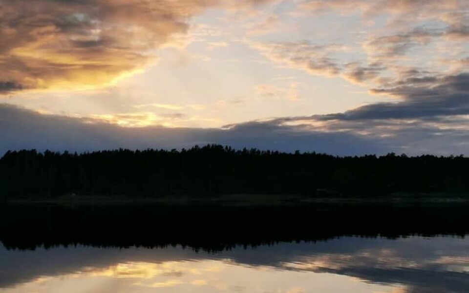 Foto: Tage Andersson