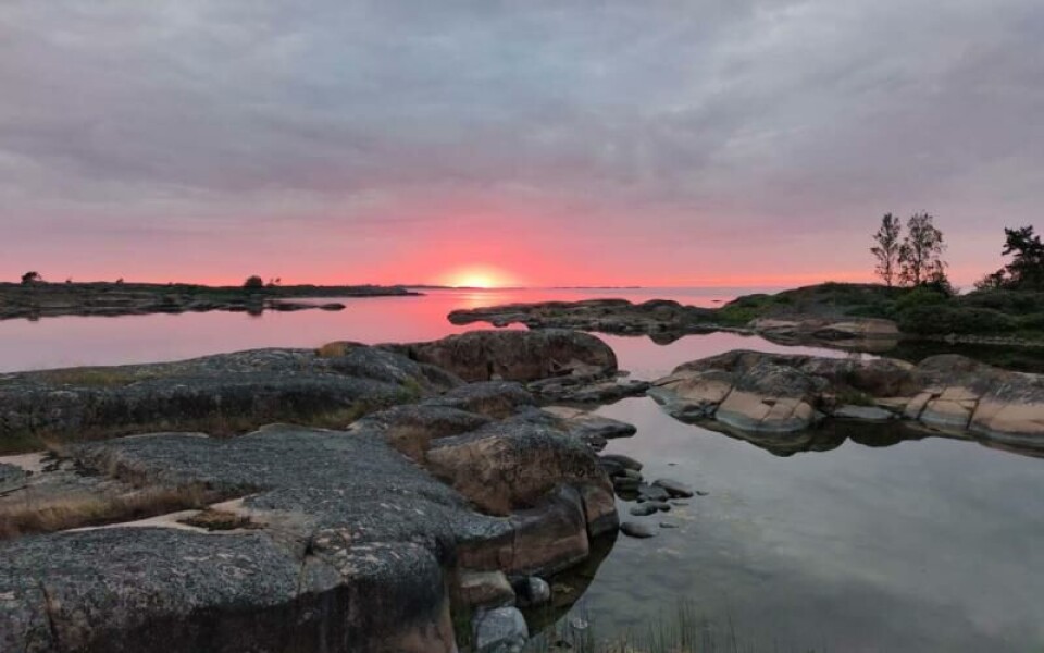 Foto: Emy Söderlund