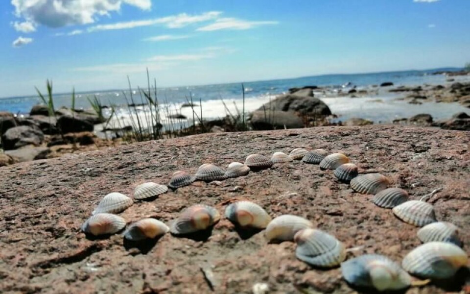 Foto: Gabriella Ljunggren