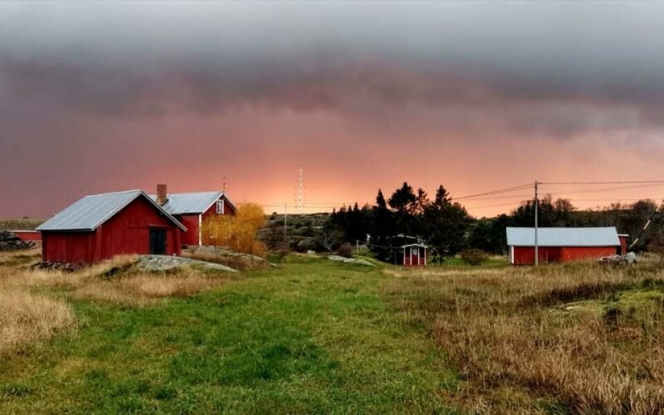 Foto: Ann-Louise Hellström