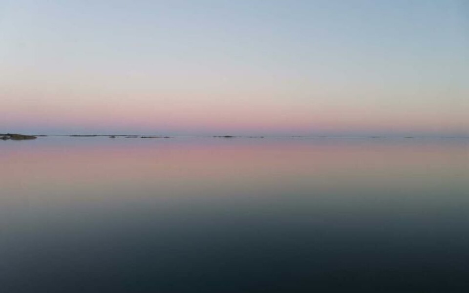 Foto: Catarina Franzas