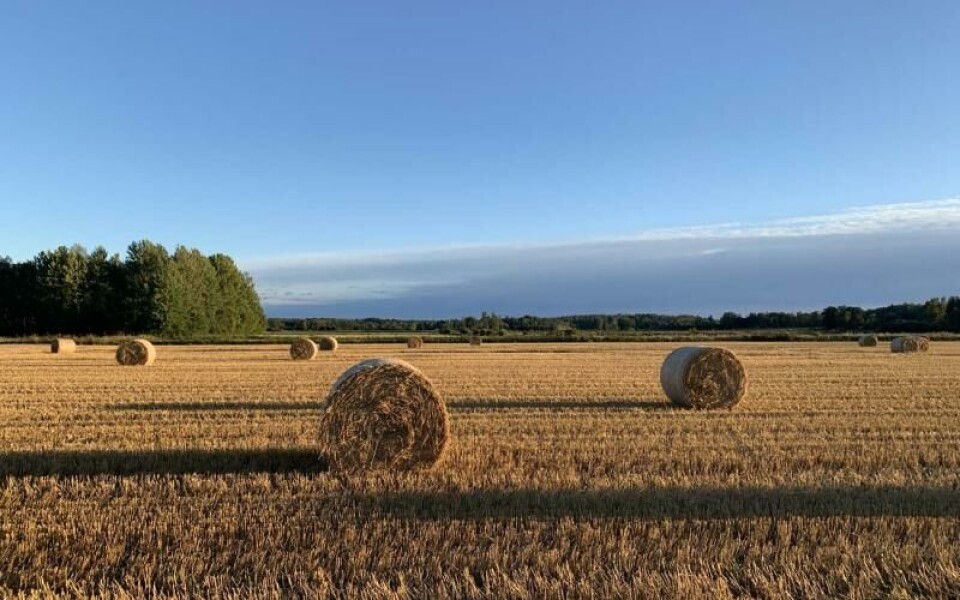 Foto: Catharina Henriksson