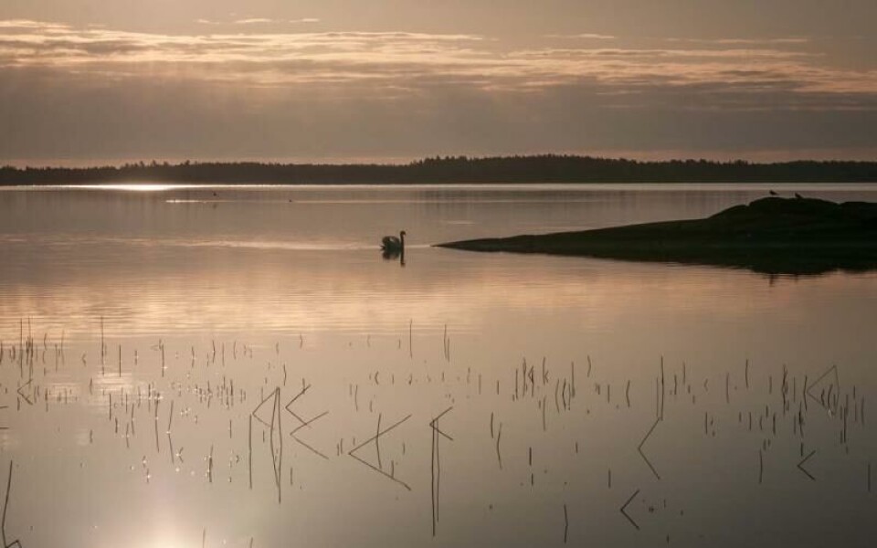 Foto: Gunilla Jansson