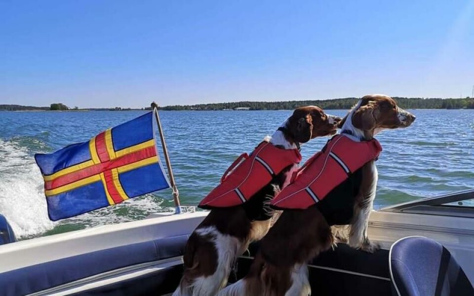 Foto: Nicolina Lindqvist