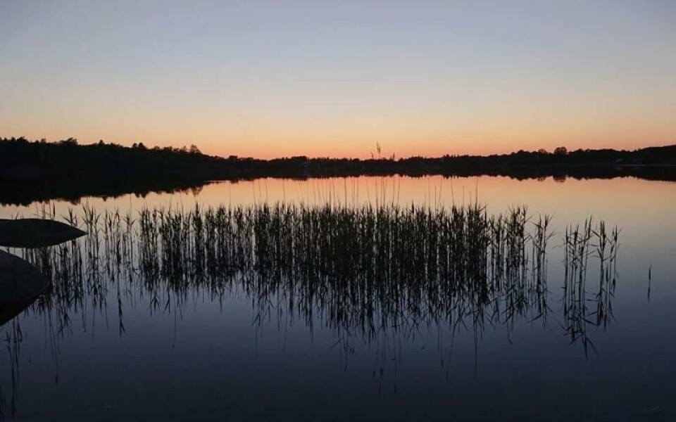 Foto: Annika Karlsson