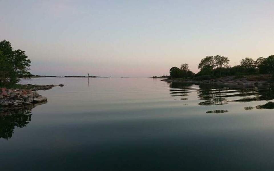 Foto: Annika Karlsson