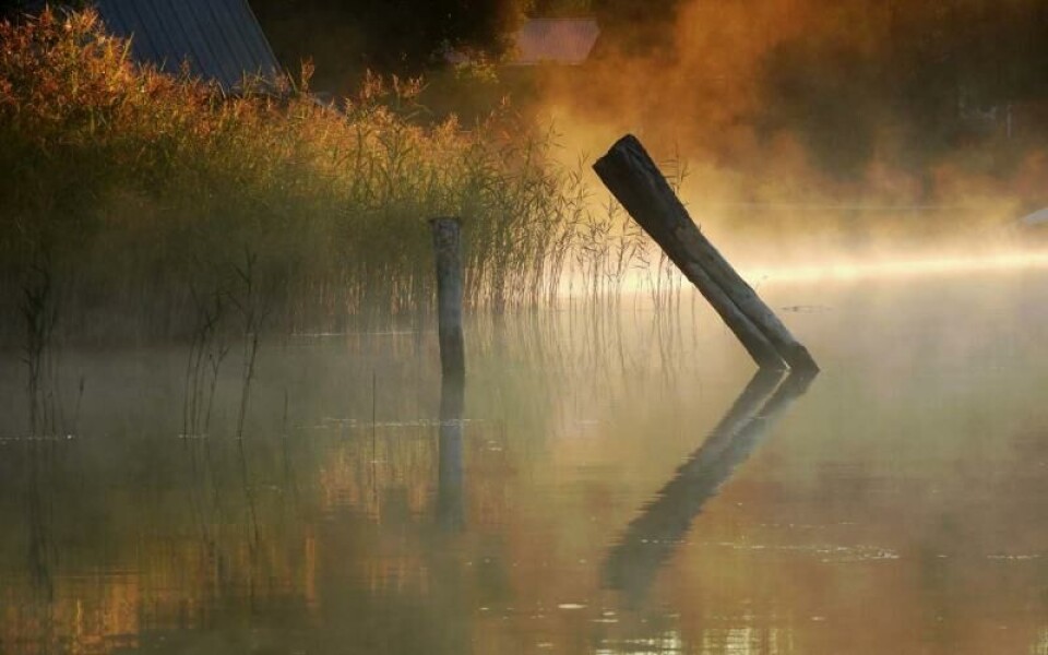 Foto: Anders Svebilius