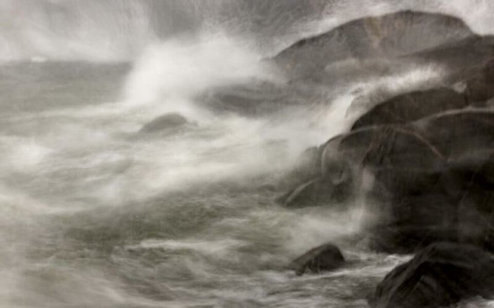 Foto: Camilla Sipponen