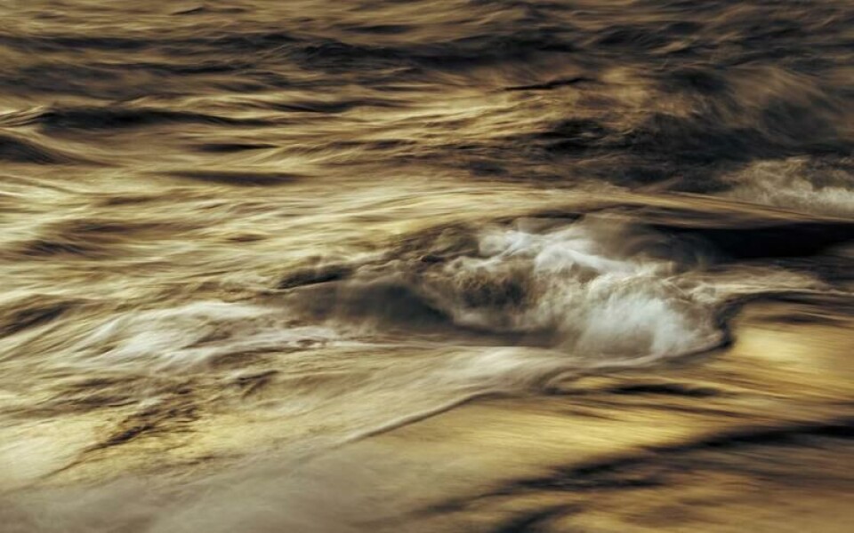 Foto: Camilla Sipponen