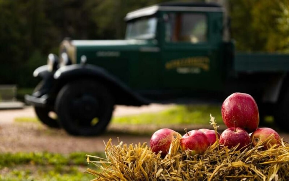 Foto: Julius Pettersson