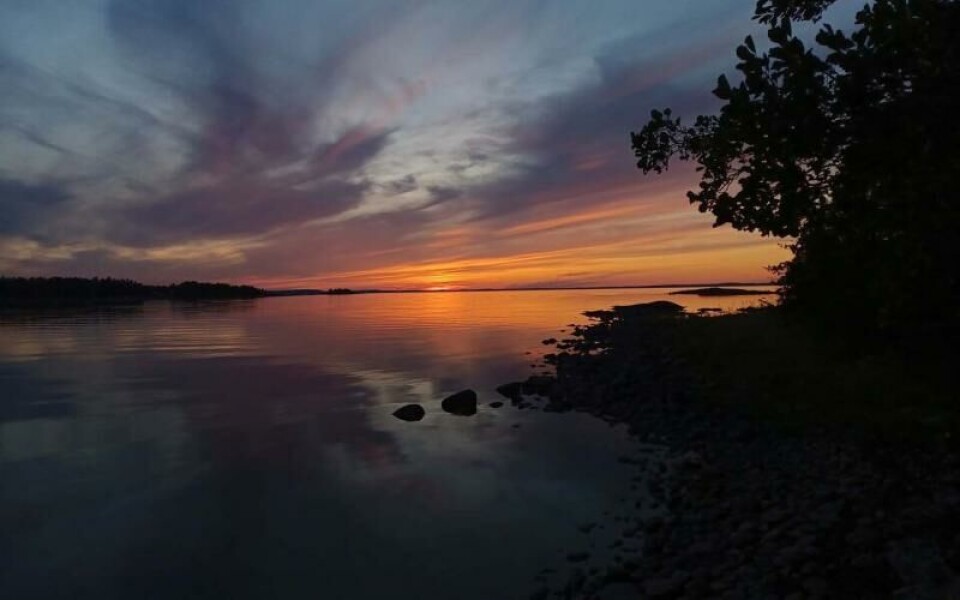 Foto: Heidi Welander