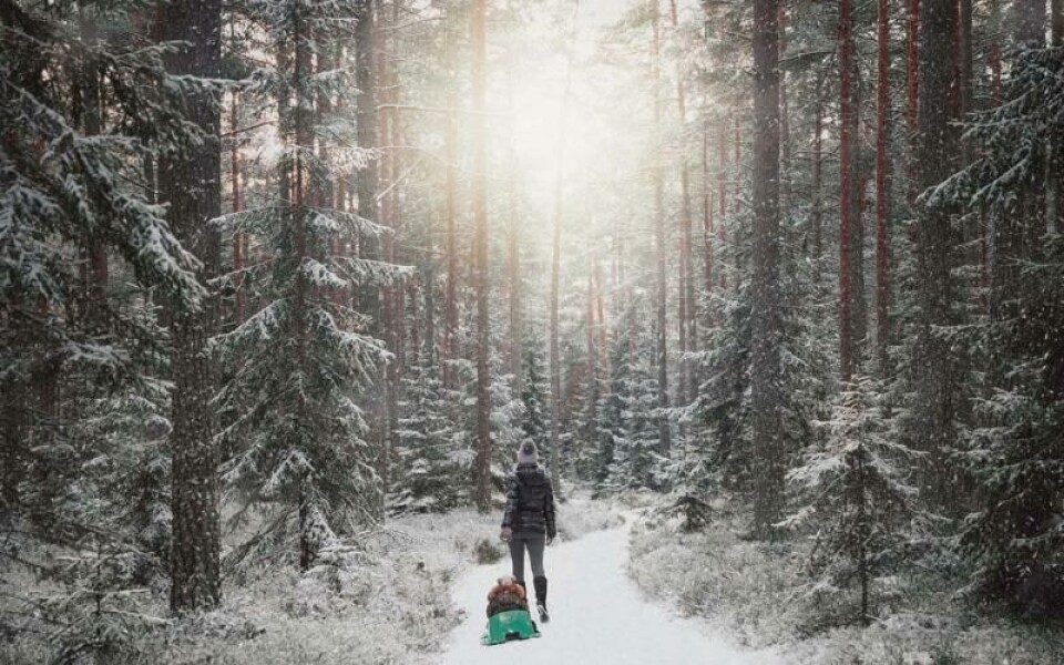 Foto: Andrejs Maculskis