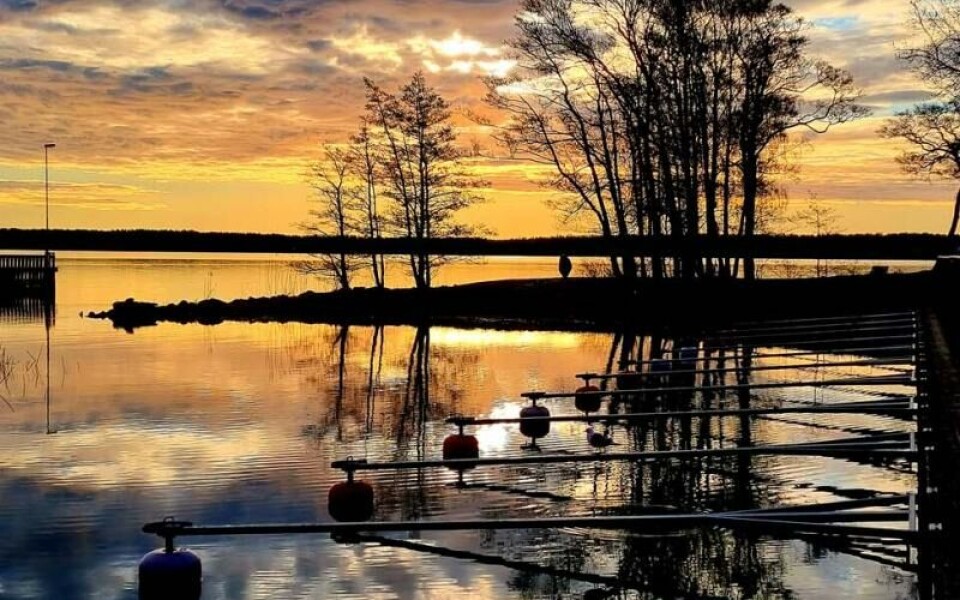 Foto: Ninni Hagström