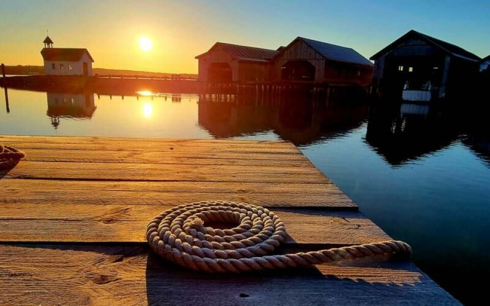 Foto: Ninni Hagström