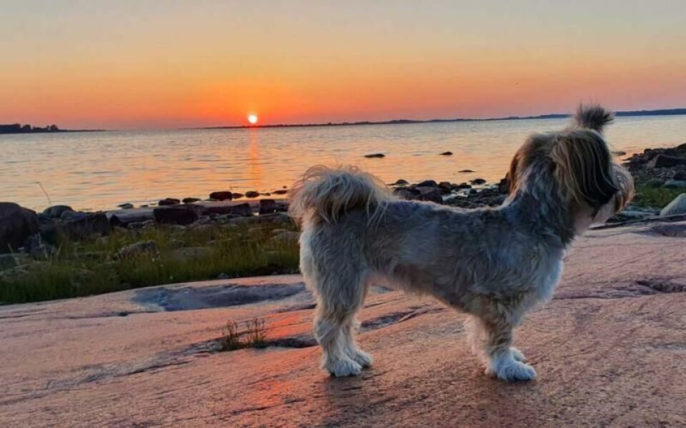 Foto: Stefan Karlsson