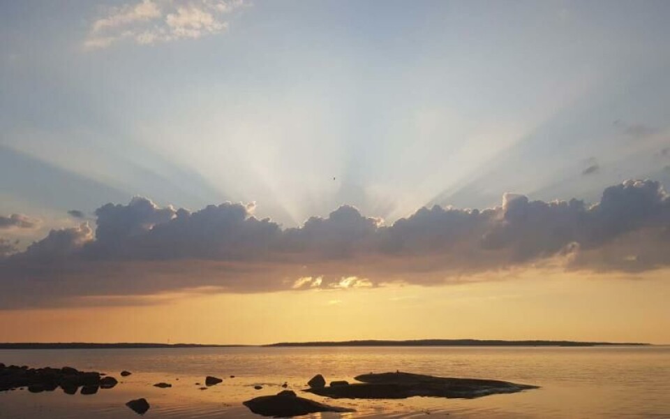 Foto: Åsa Vördgren