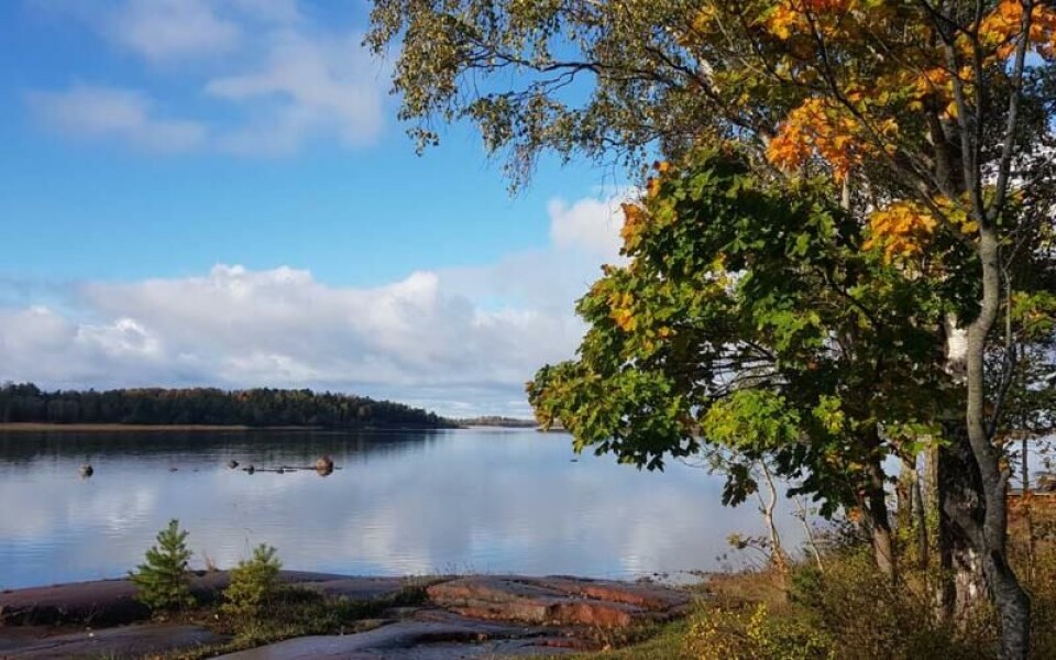 Foto: Sören Lindholm