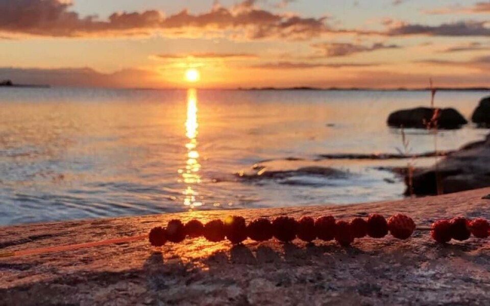 Foto: Stefan Karlsson