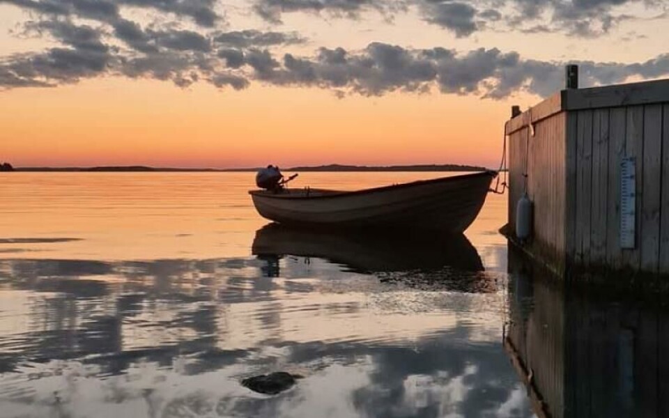 Foto: Camilla Hamnström-Karlsson