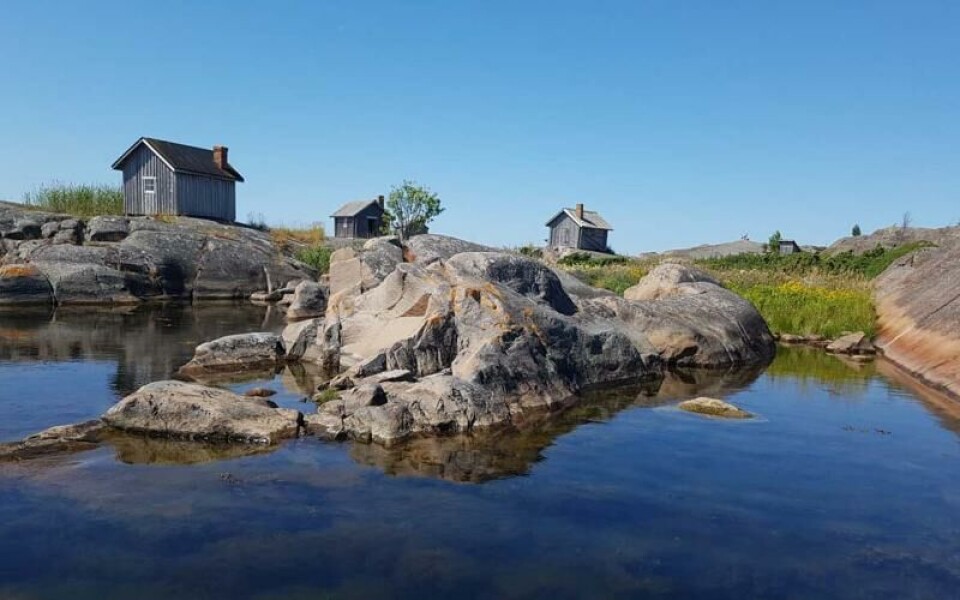 Foto: Synnöve Jordas